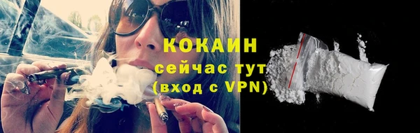 мдпв Пересвет