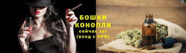 мдпв Пересвет