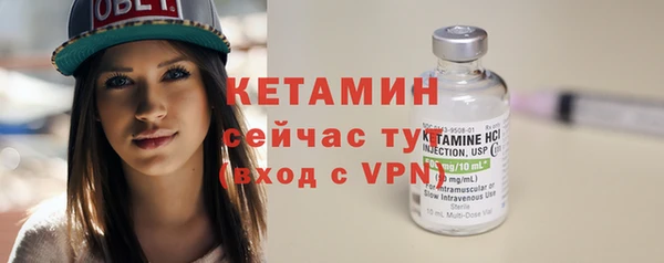 шишки Новосибирск