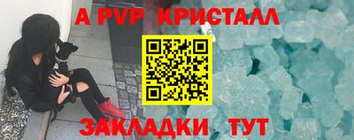 стафф Дубна