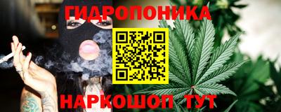 шишки Азнакаево