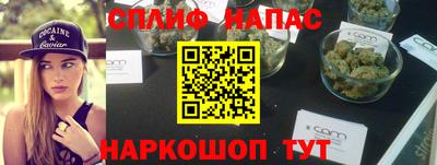 гашик Донецк