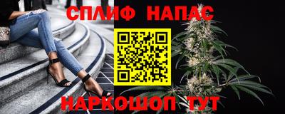 гашик Донецк