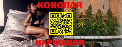 гашик Донецк
