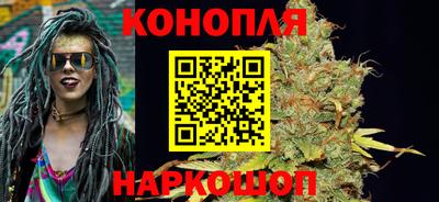 гашик Донецк