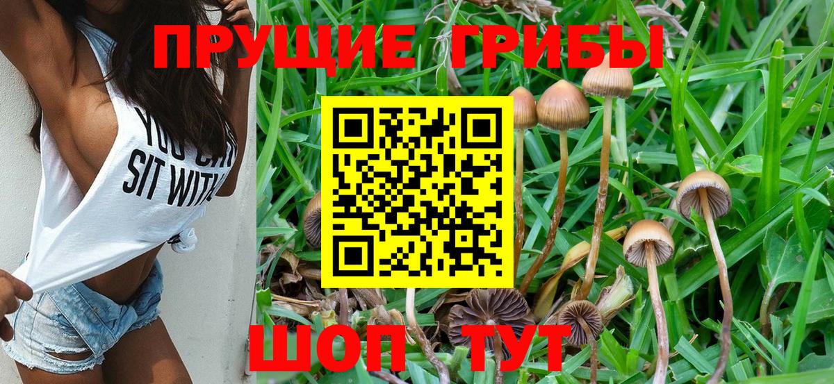 Галлюциногенные грибы прущие грибы Ртищево