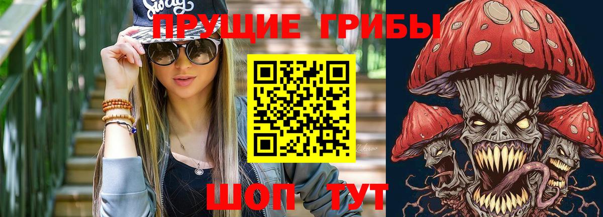 Галлюциногенные грибы MAGIC MUSHROOMS  Ртищево  Псилоцибиновые грибы Psilocybe 