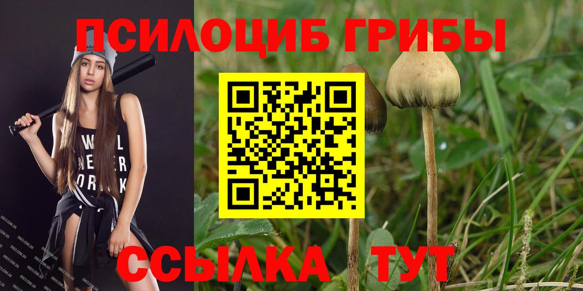 Псилоцибиновые грибы Magic Shrooms  Вход с VPN  Ртищево  Псилоцибиновые грибы MAGIC MUSHROOMS 