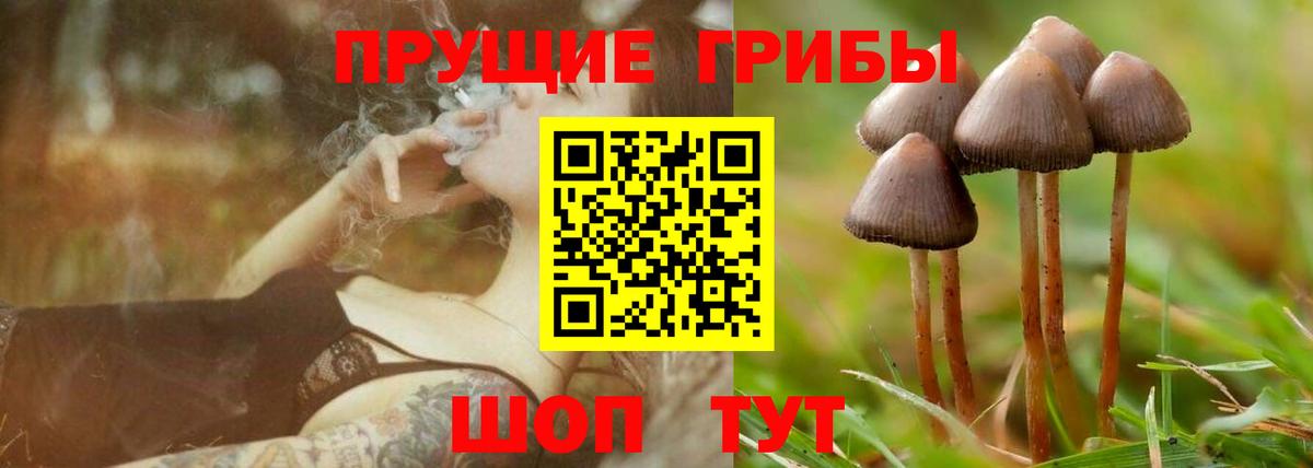 Галлюциногенные грибы GOLDEN TEACHER Ртищево