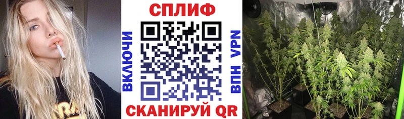 Конопля семена Ртищево